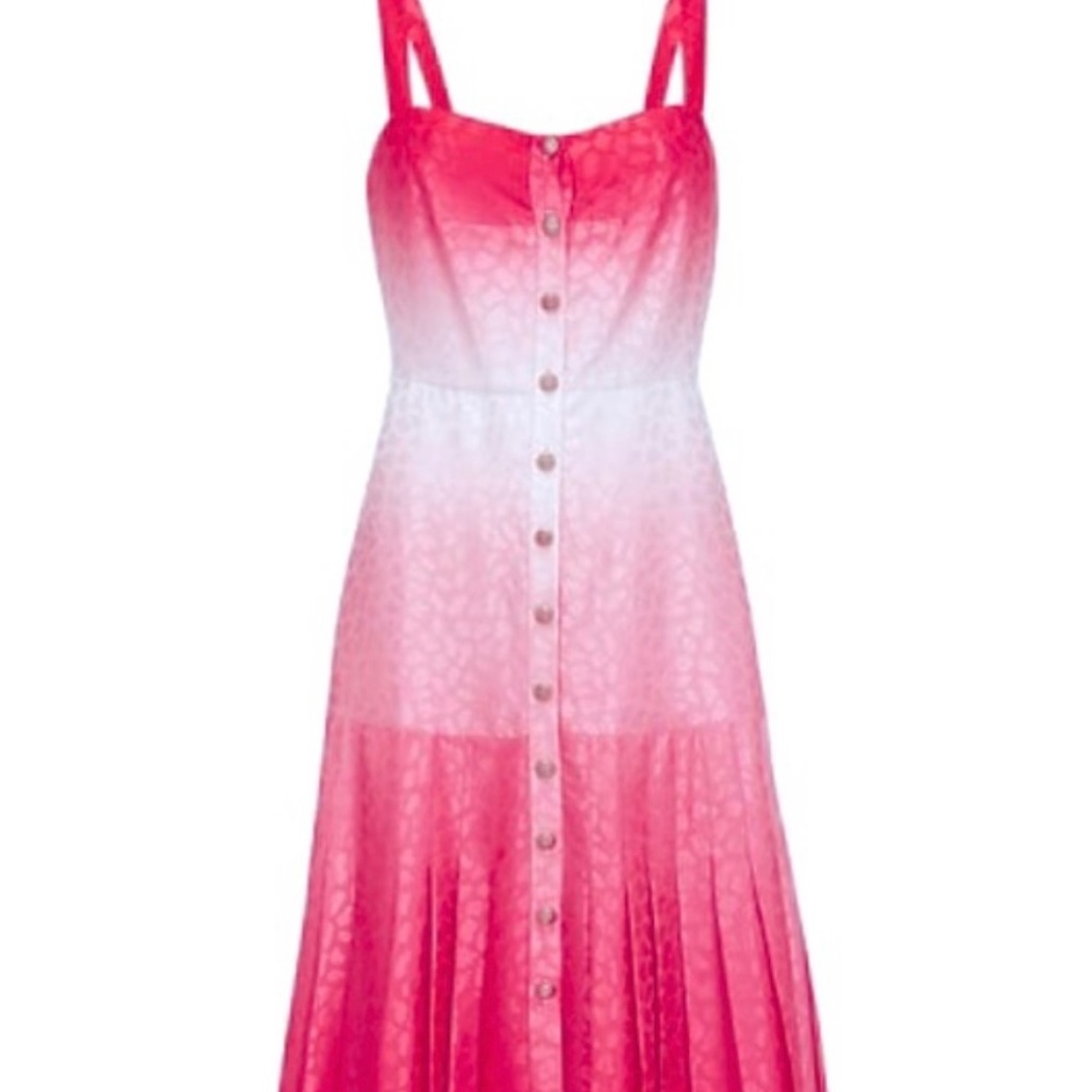 Saloni Karen ombré dress